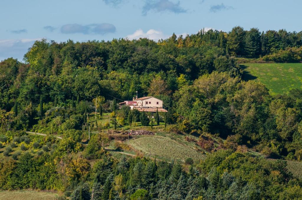 Copyright Santapollinare.net (c) Santapollinare.net